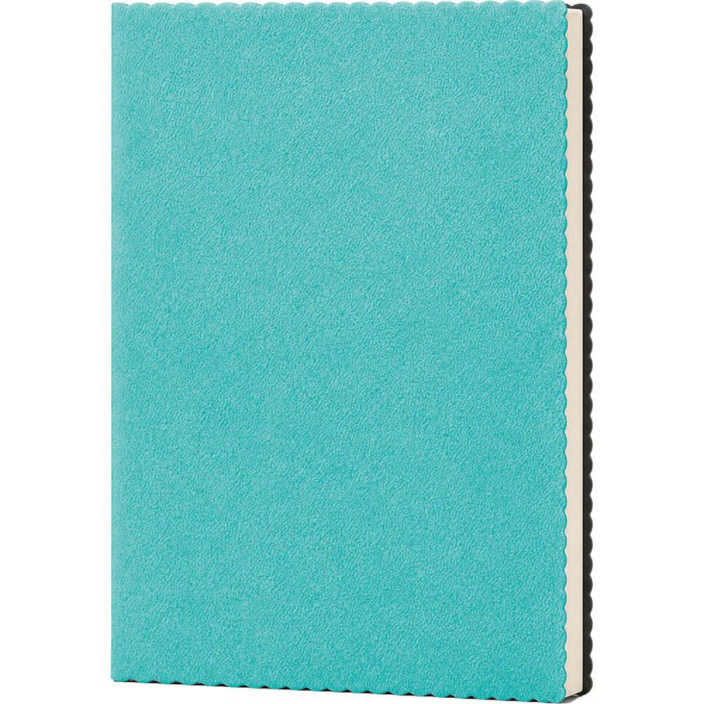 Tarihsiz Defter Erciyes
